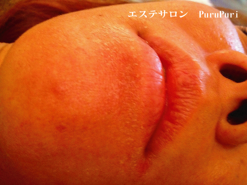 �v���Y�}�����{�p�O